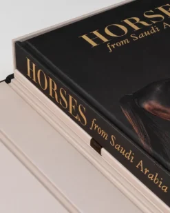 Outlet Horses From Saudi Arabia Ultimates