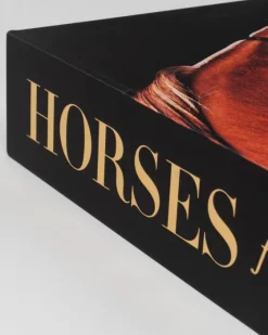 Outlet Horses From Saudi Arabia Ultimates