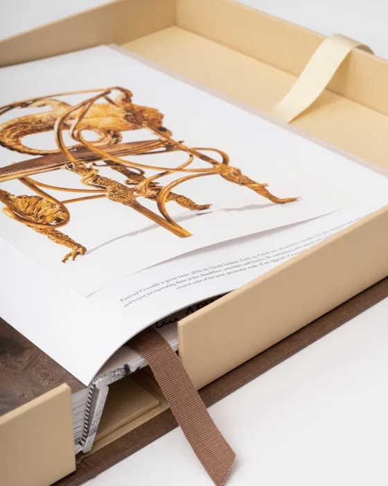 Outlet Lalanne: A World Of Poetry Ultimates