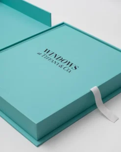 Clearance Windows At Tiffany & Co. Ultimates
